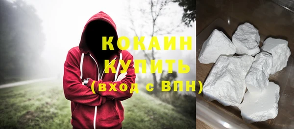 крисы Новозыбков