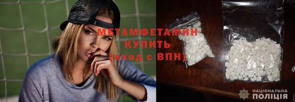 крисы Новозыбков
