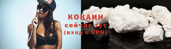 PSILOCYBIN Билибино