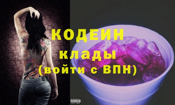крисы Новозыбков