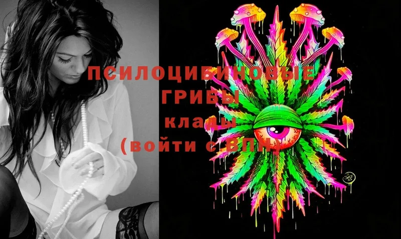 Галлюциногенные грибы Magic Shrooms  Кондопога 