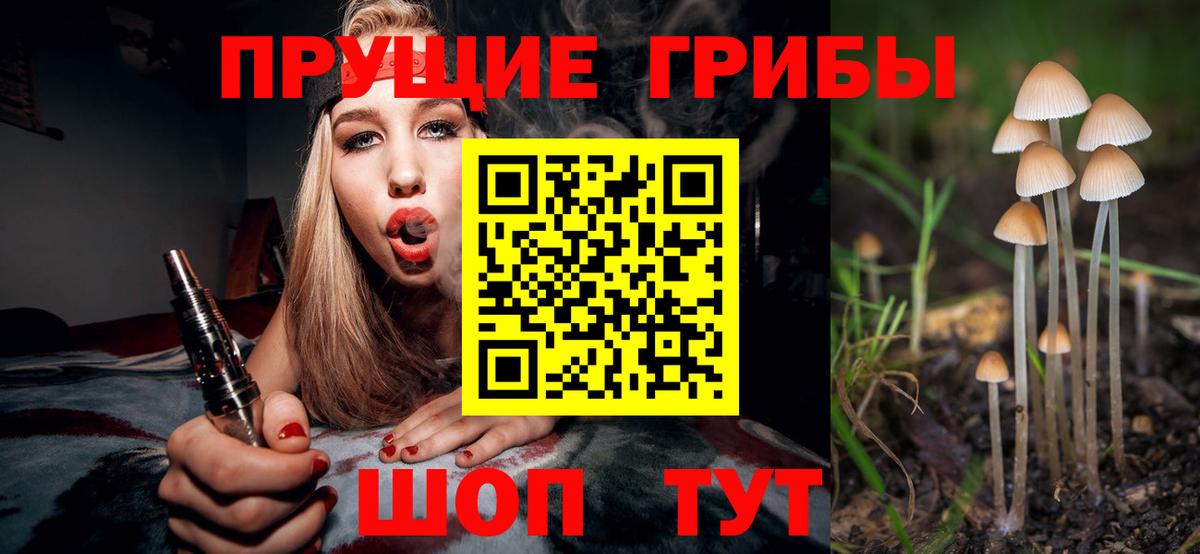 Галлюциногенные грибы Psilocybe Кондопога